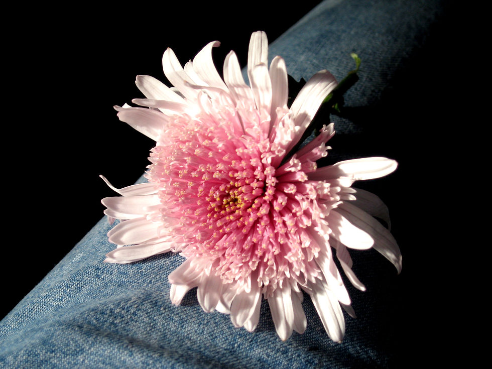 Lindsey Ricket Nature Photography 2007 | Lindsey Slavin