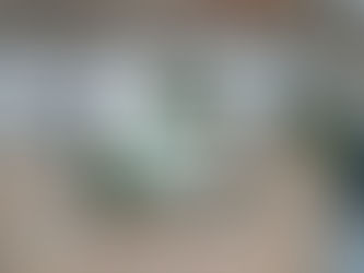 Résultat obtenu seulement 2 mois après l'application du produit à action lente + un produit clé pour ce type de cas.