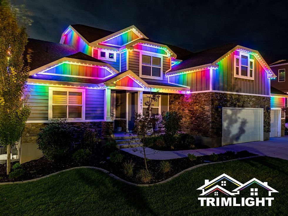 Landscape Lighting vs. Permanent Outdoor Lighting: Which Is Right for Your Texas Home?