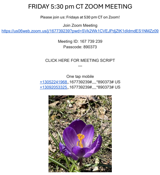 Friday 5:30pm CT Zoom Meeting