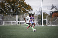 DSC07705.jpg