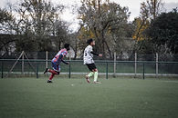 DSC07734.jpg