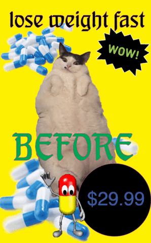 weight loss for cats