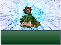 no65　サクラテンション