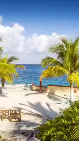 excursion-cozumel-589x392.avif