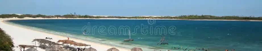 JERI 1.webp