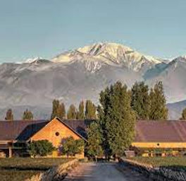 MENDOZA 6.jpg