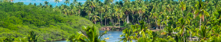 SAO MIGUEL ALAGOAS 1.png