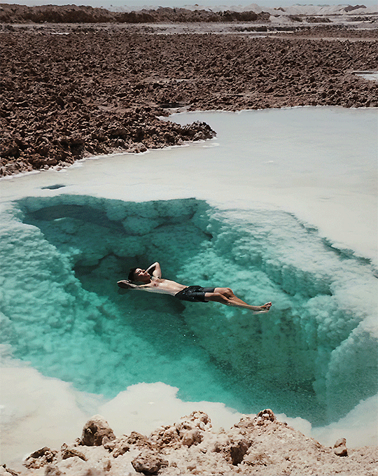 tumblr_c79e8963bbfe004f75dc7445bce46193_7c8f84f8_540.gif