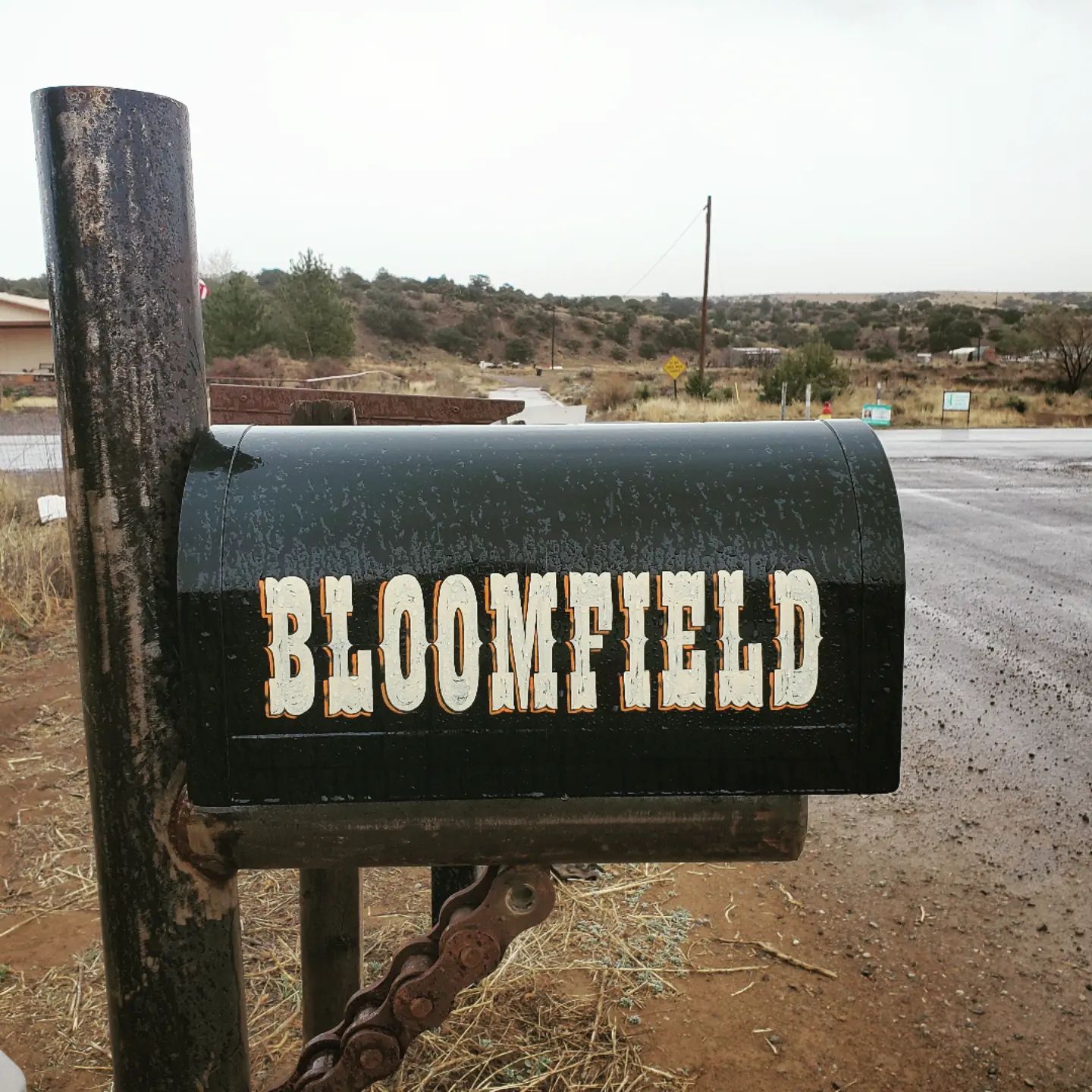 Bloomfield Mailbox