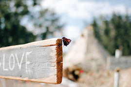 Fotograf Wandlitz Hochzeit.jpg