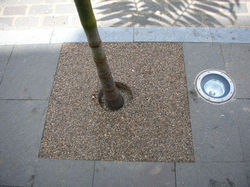 Alcorque Los Realejos 6.JPG