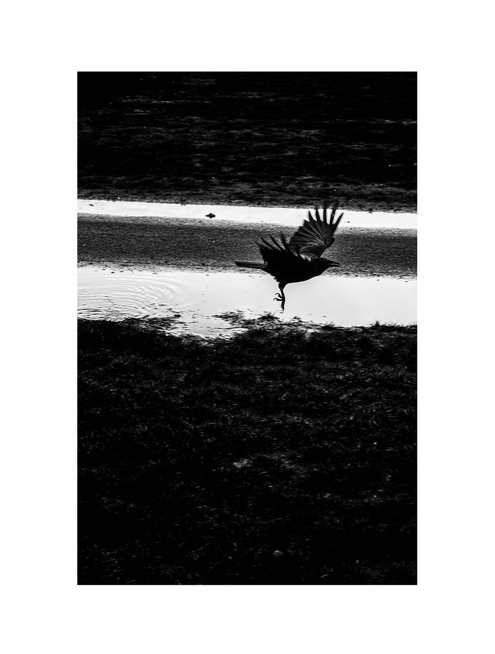 Miniature : Zine #1 - Aller-retour en Ecosse