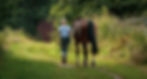 woman leading horse.jpg