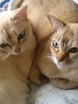 Tilly & Molly