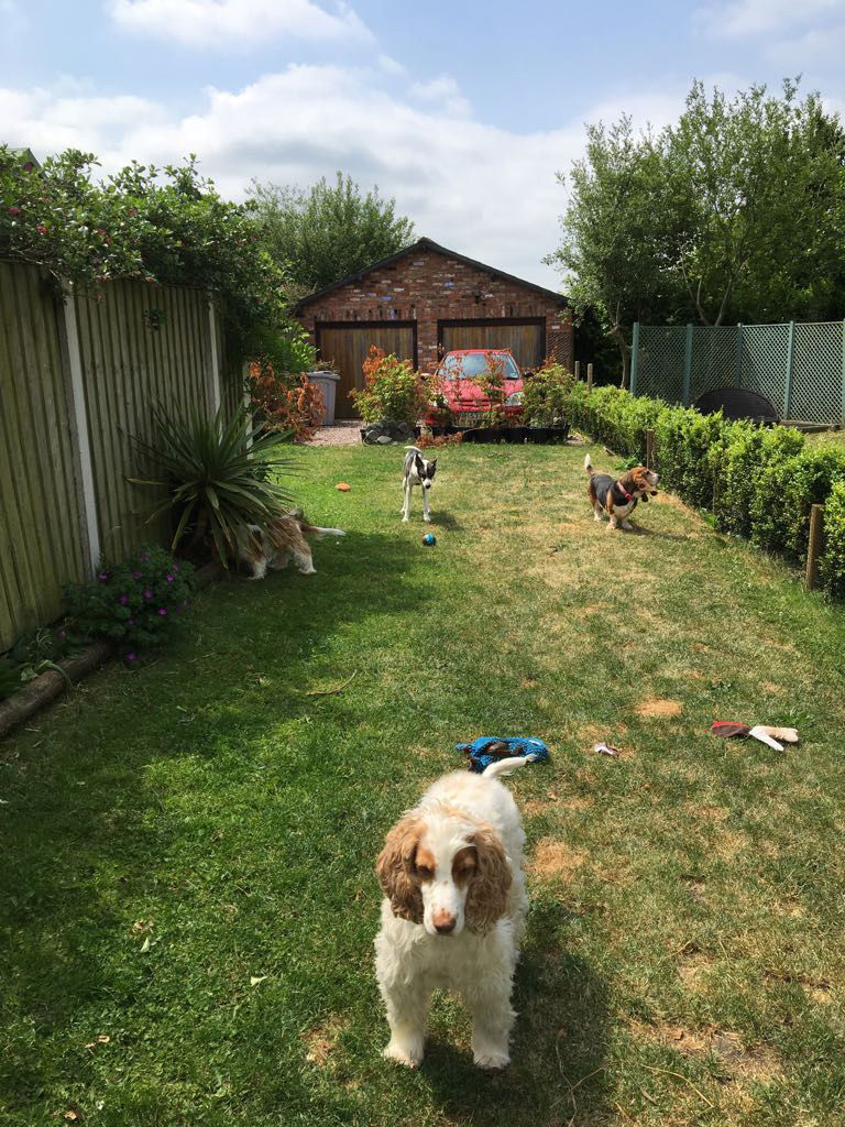 Olly, Molly, Millie & Gerry