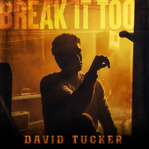 Review: "Break It Too" - David Tucker