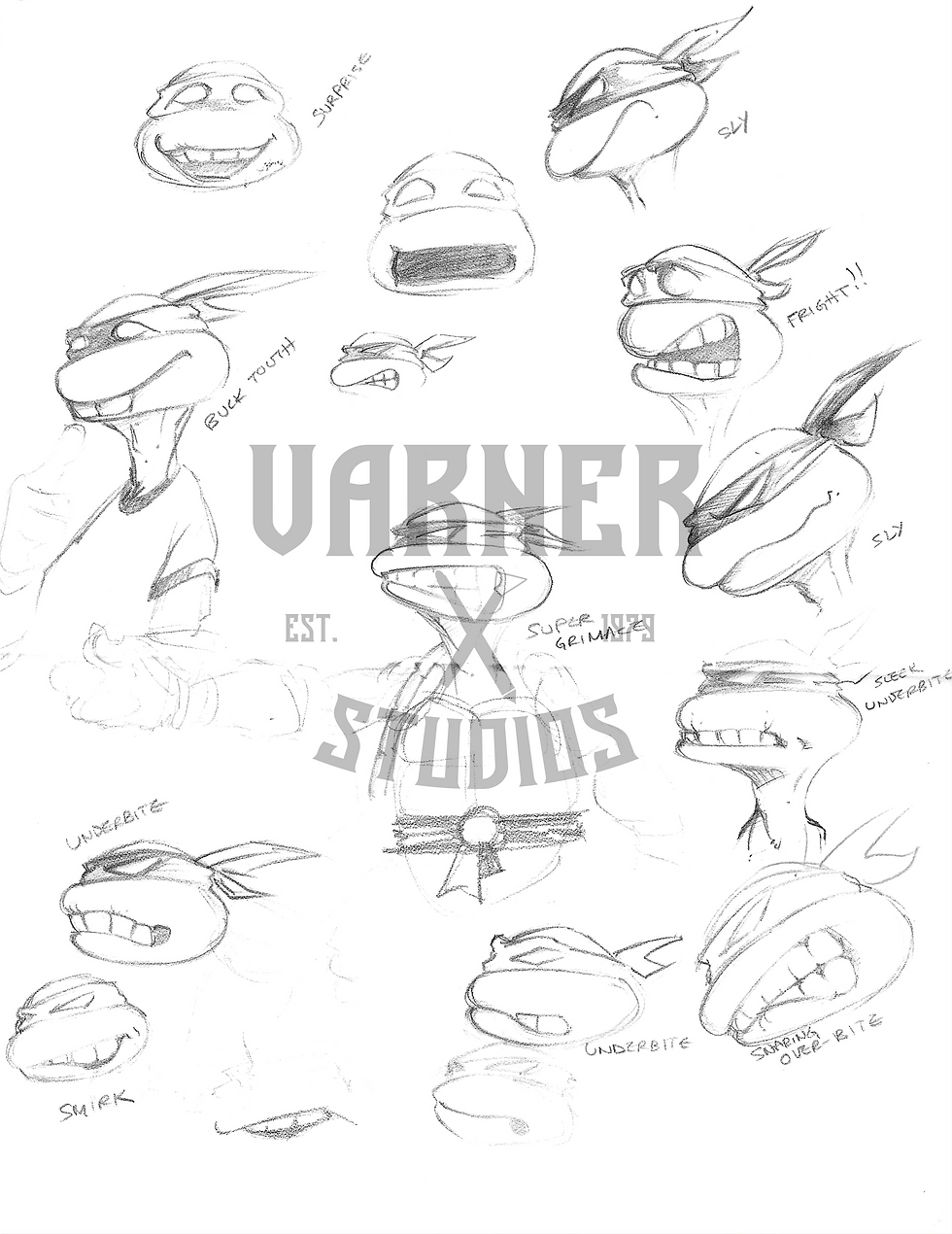 Turtle Character Expressions Concept Art Print