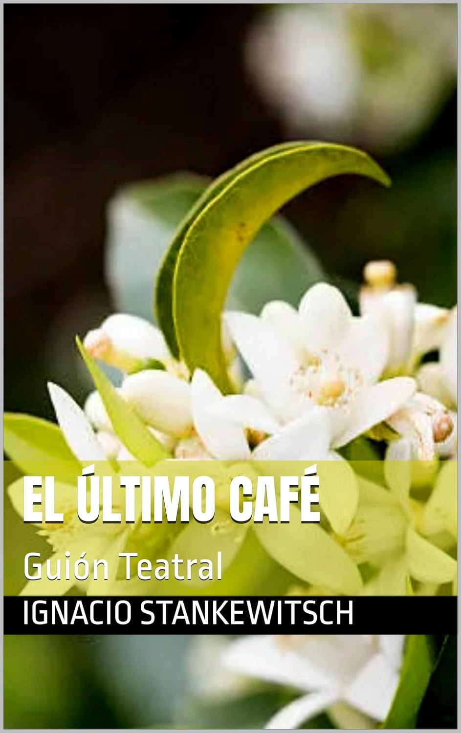 click para ir a la tienda