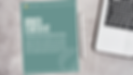 mock 2.png