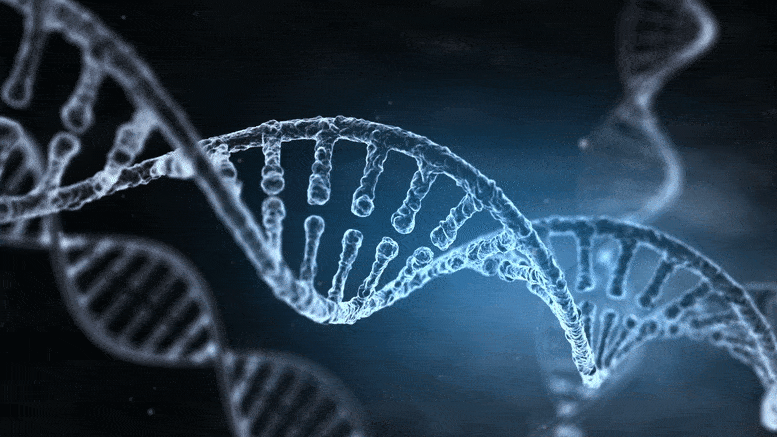 DNA molecule animated.GIF