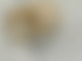 Casamento por Procuração: Permitido ou Proibido? Um paralelo entre Brasil, Portugal e Luxemburgo