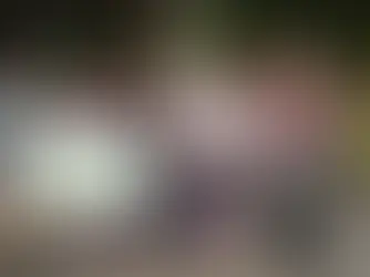 Tribunal superior de Osaka declara inconstitucional a proibição do casamento entre pessoas do mesmo sexo