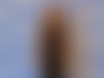 Comissão Intramericana de Direitos Humanos