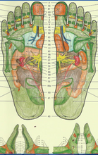 Mappa delle zone riflesse sui piedi, dal libro di Hanne Marquardt "Manuale di Riflessoterapia al piede"