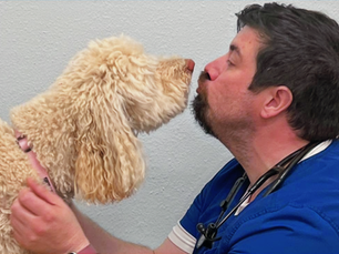 Essential Preventative Care for Your Pets at RegalVet