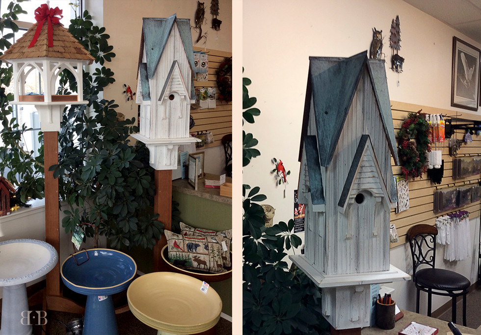 Backyard Birding Co. Bring Songbirds to you backyard Bird Watching