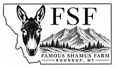 FSF LOGO_edited.jpg