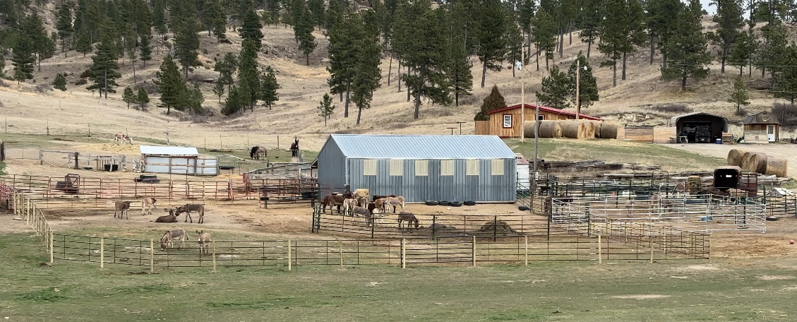 A wide view landscape photo of the farm facility and sanctuary buildings.