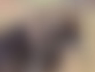 Discover the Gentle Donkeys of Famous Shamus Farm