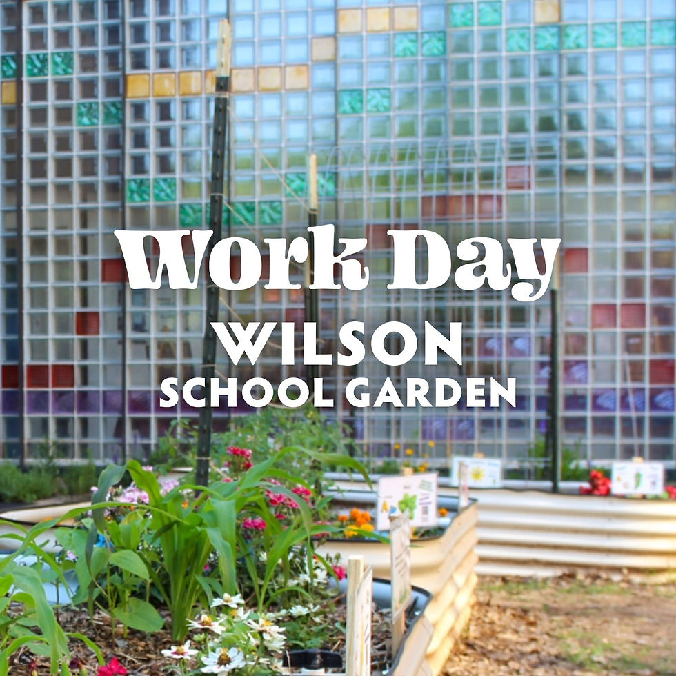 Wilson School Garden Work Day