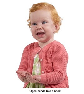 Screen Shot 2018-08-25 at 3.37.31 PM.png