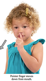 Screen Shot 2018-08-25 at 3.50.39 PM.png