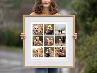 Storyframe display.jpg