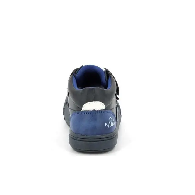 Miniature : Mod8 -Basket montante  TIFUN