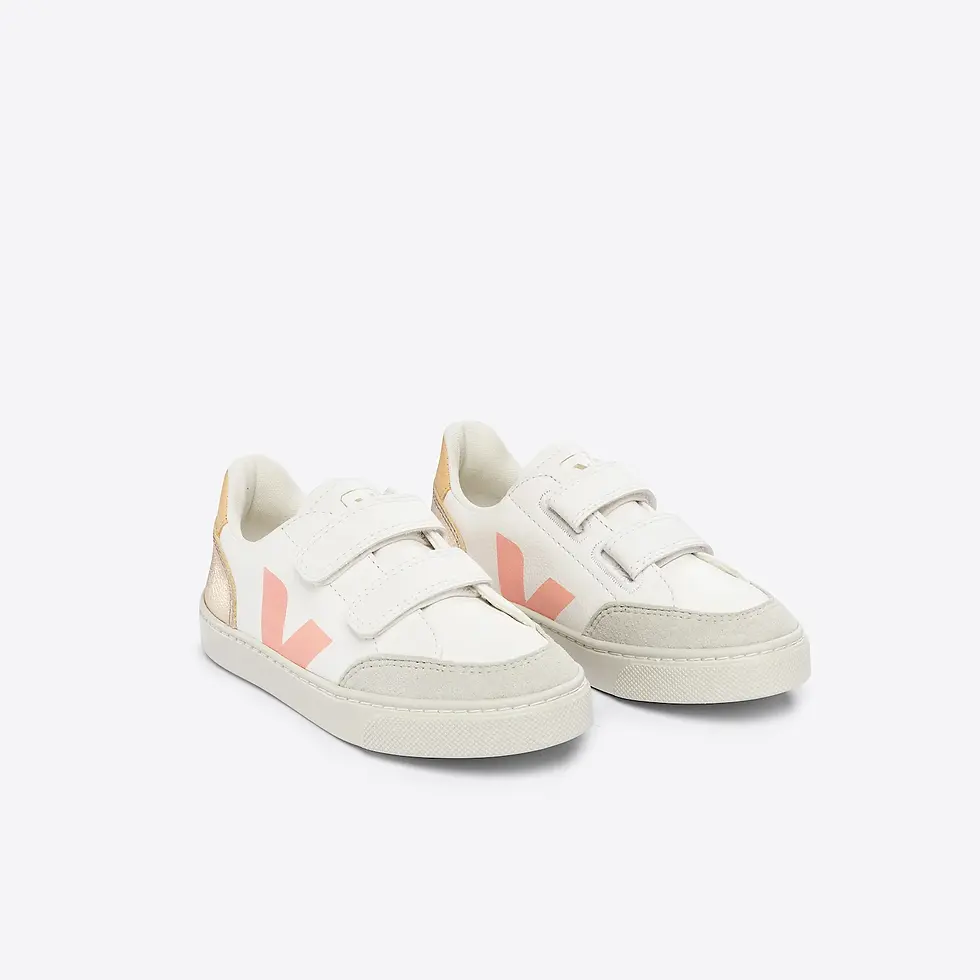 Miniature : VEJA- Basket V12 White multico platine