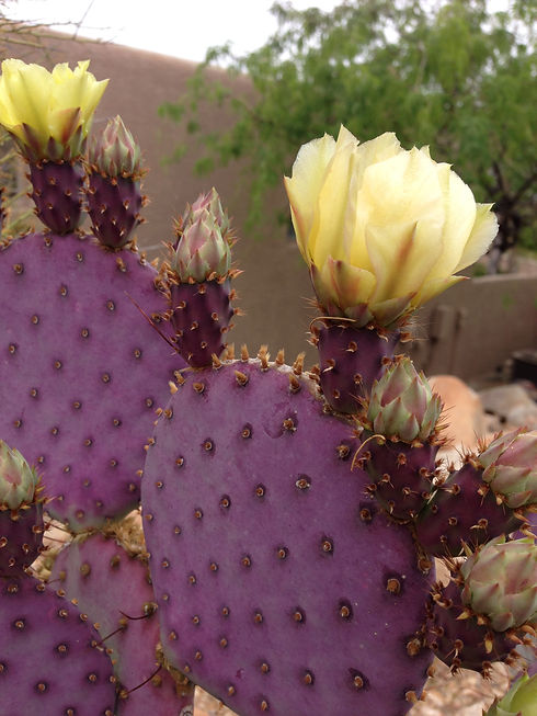 2014-03-30 10.45.23.jpg