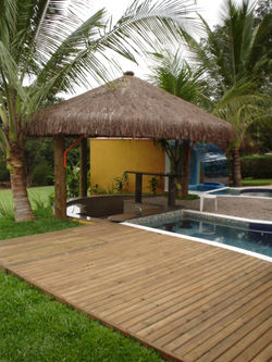 D (49)