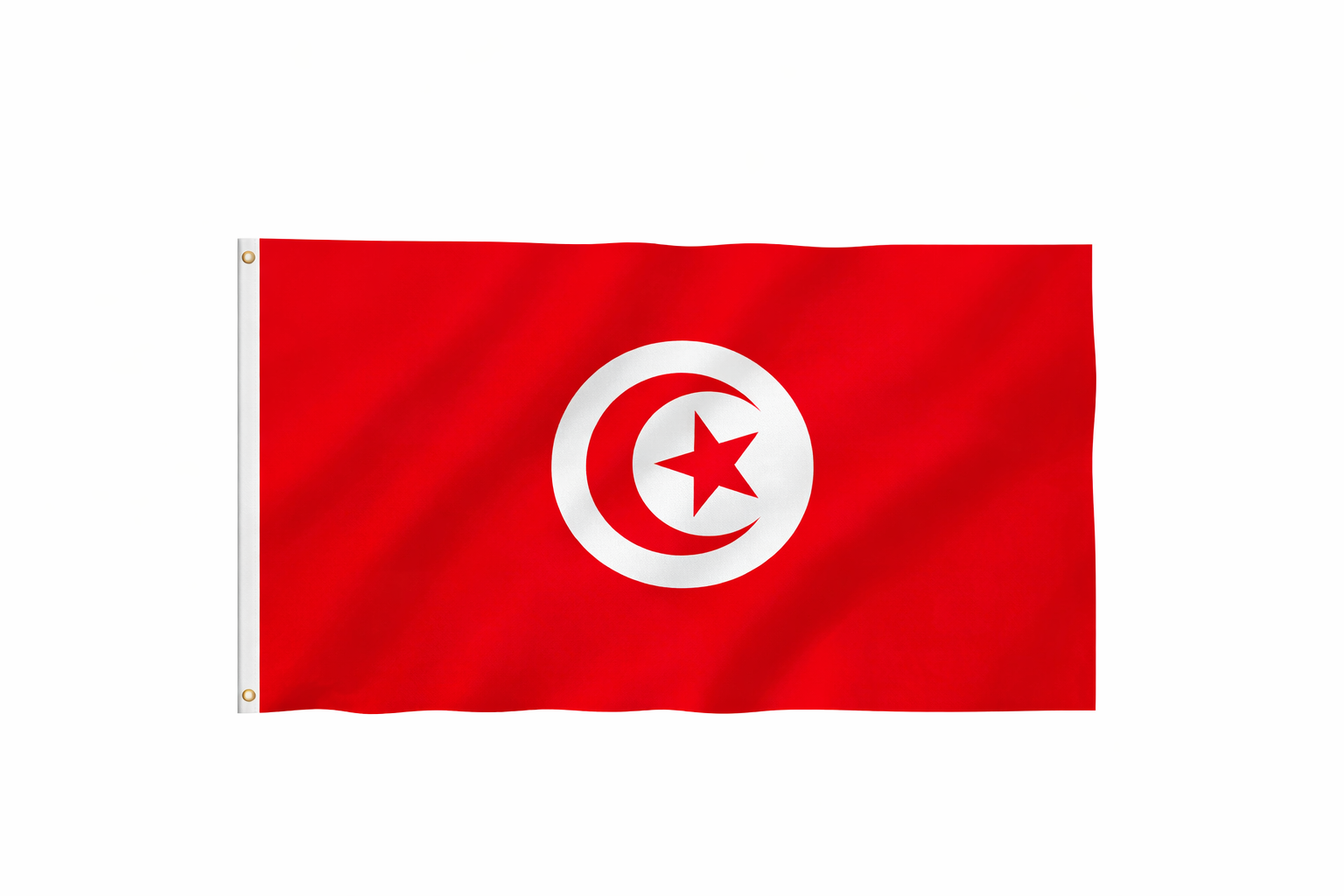 Tunisia Large Flag 3' x 5' - Set of 6