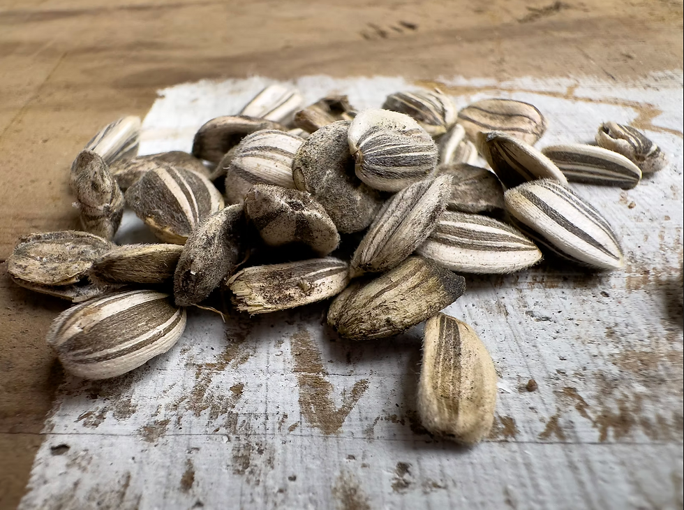 sunflower seeds on grungy wood