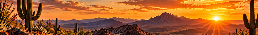 Golden Desert Sunset Panorama (1).png
