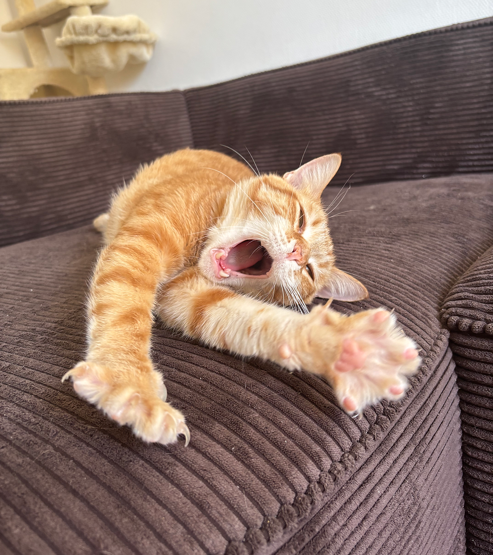 IMG_0378.HEIC