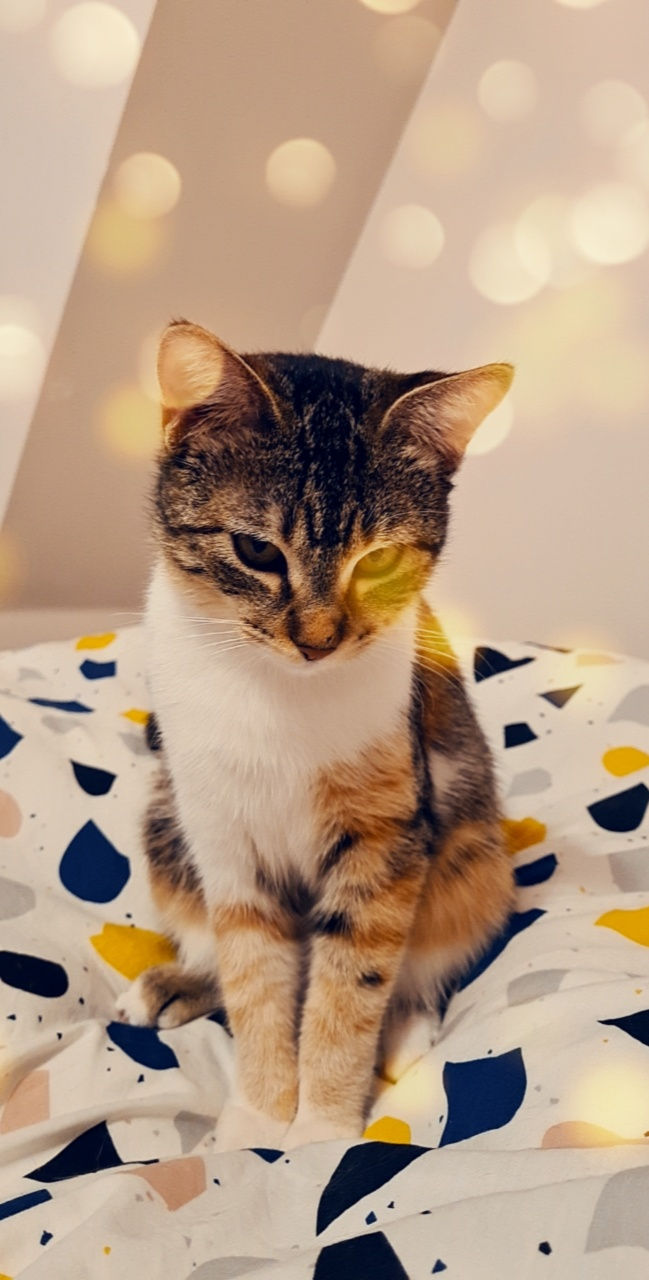 Cléo