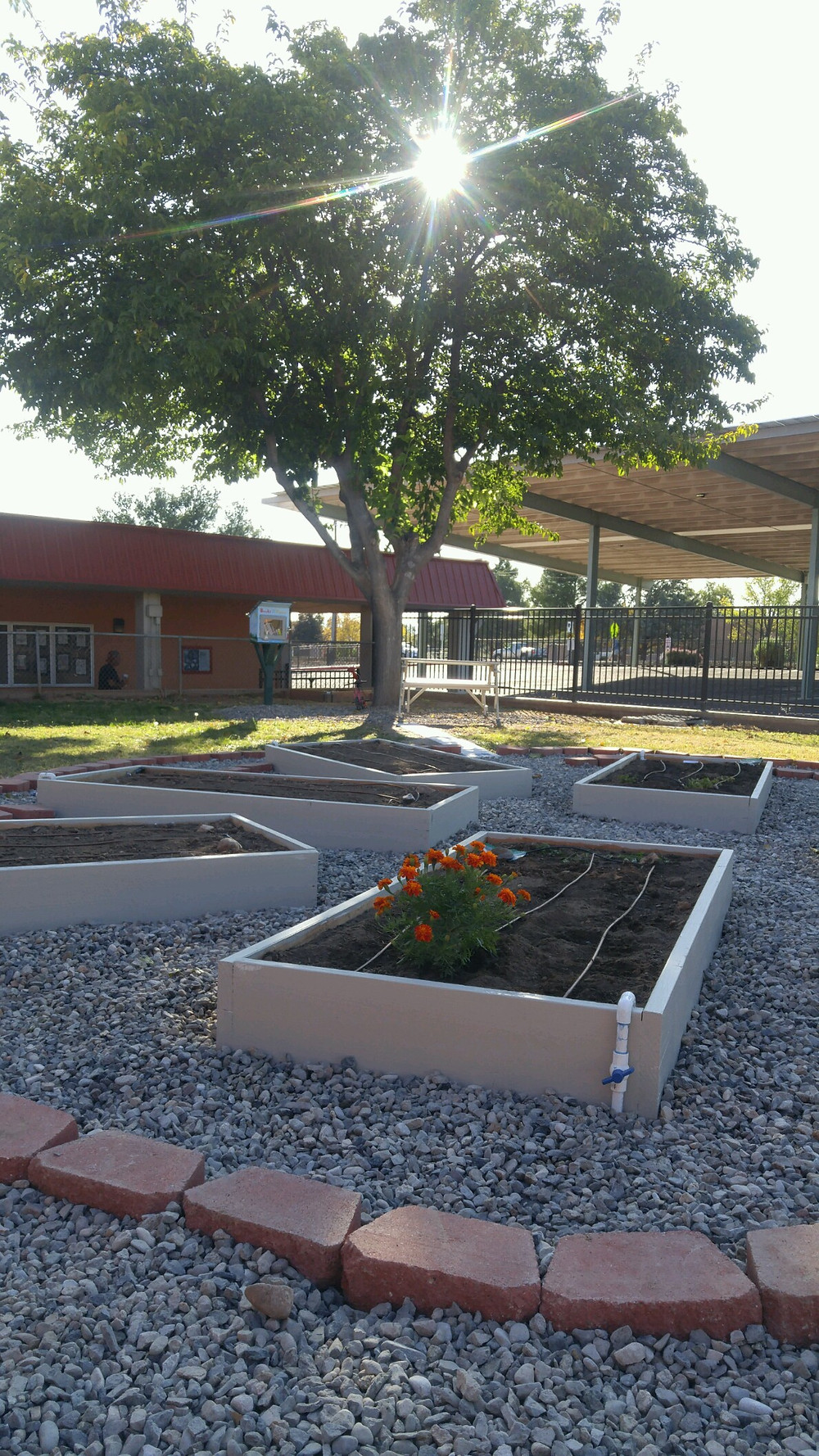 8 garden beds, 5 fruit trees, memorial area, game area