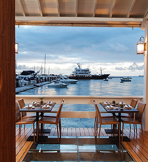 soho-marina-4.jpg