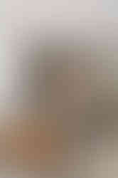 sala com poltrona cinza, estante e adega apartamento pe 024